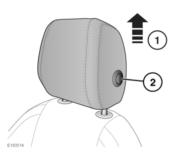 FRONT HEAD RESTRAINTS