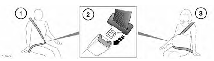 Using the seat belts