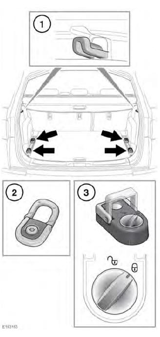 Luggage anchor points