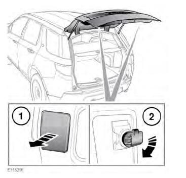Rear direction indicator and reversing lamp bulb replacement