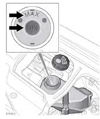 Checking the brake/clutch fluid level