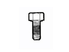ENCAPSULATED ('PATCHED') BOLTS AND SCREWS