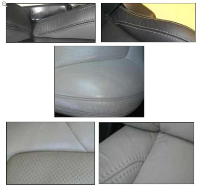 Examples of Natural Characteristics of Leather