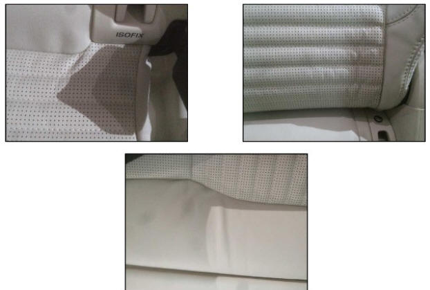 Examples of Natural Characteristics of Leather