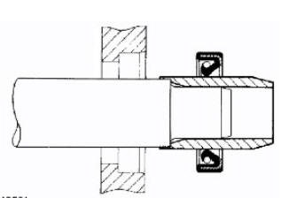 Oil seals