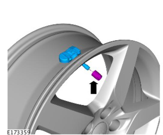 Wheels and tires - tire pressure sensor (G2160695) Removal and installation