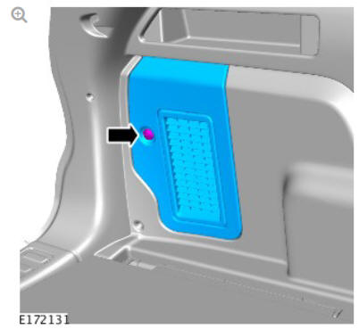 Outer Tail lamp Assembly (G1817630) Removal and Installation