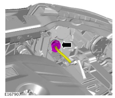 Front Turn Signal Lamp bulb (G1785540) Removal and Installation