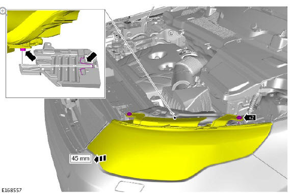 Front Turn Signal Lamp bulb (G1785540) Removal and Installation