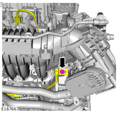 Fuel Charging and Controls - Ingenium i4 2.0l Diesel Fuel Rail (G1875959) / Installation