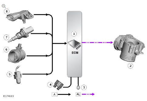 INPUT/ OUTPUT DIAGRAM