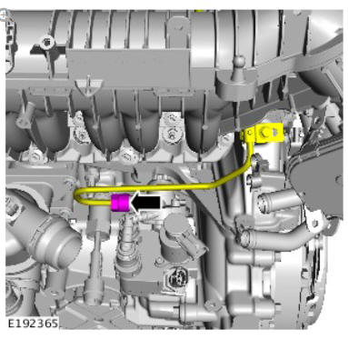 Fuel Charging and Controls - Ingenium i4 2.0l Diesel Fuel Pump (G1875960) Installation