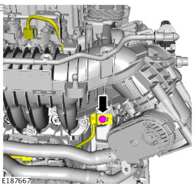 Fuel Charging and Controls - Ingenium i4 2.0l Diesel Fuel Pump (G1875960) Installation