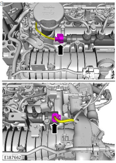 Fuel Charging and Controls - Ingenium i4 2.0l Diesel Fuel Rail (G1875959) / Installation