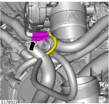 Fuel Charging and Controls - Ingenium i4 2.0l Diesel Throttle Body (G1875961) Removal and Installation