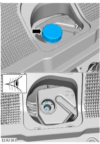 Clutch System Bleeding (G1353044) / General Procedures